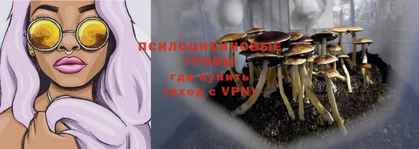 мет Алексин