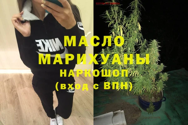 мет Алексин
