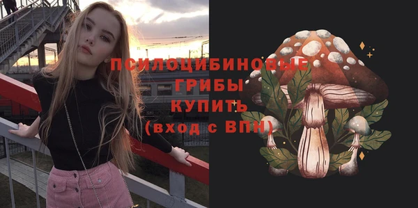 мет Алексин