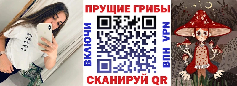 маркетплейс формула  Находка  Псилоцибиновые грибы MAGIC MUSHROOMS 